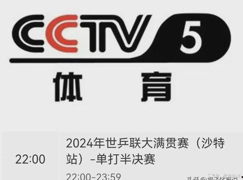 cctv22在线观看,实时掌握全球新闻动态